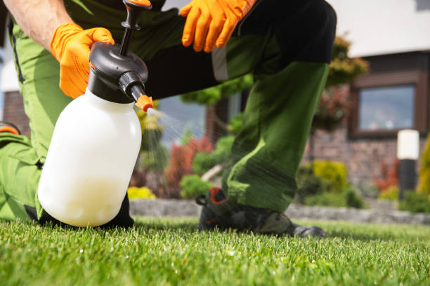 Best Affordable Pest Control Services  in Westhaven Moonstone, CA