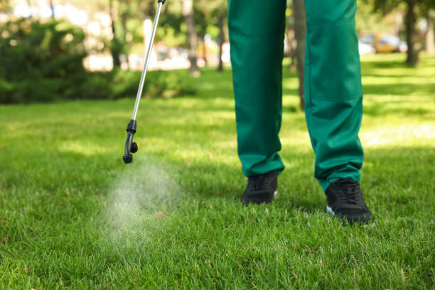 Best Bed Bug Extermination  in Westhaven Moonstone, CA