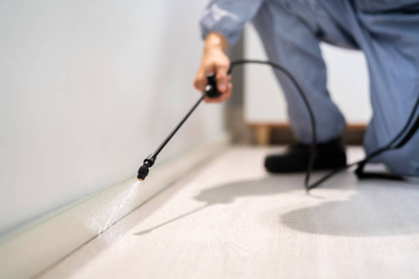 Flea Control Services in Westhaven Moonstone, CA