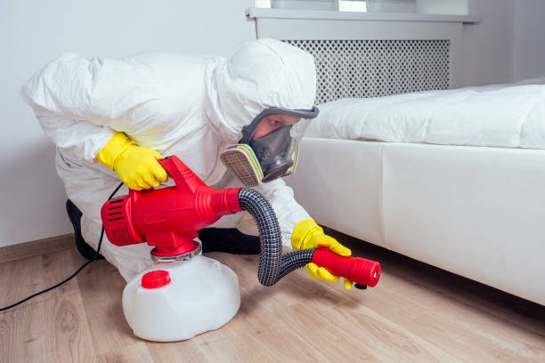Best Termite Control Services  in Westhaven Moonstone, CA