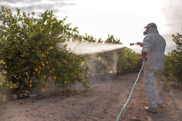 Best Commercial Pest Control Services  in Westhaven Moonstone, CA