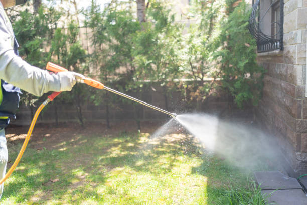 Best Affordable Pest Control Services  in Westhaven Moonstone, CA