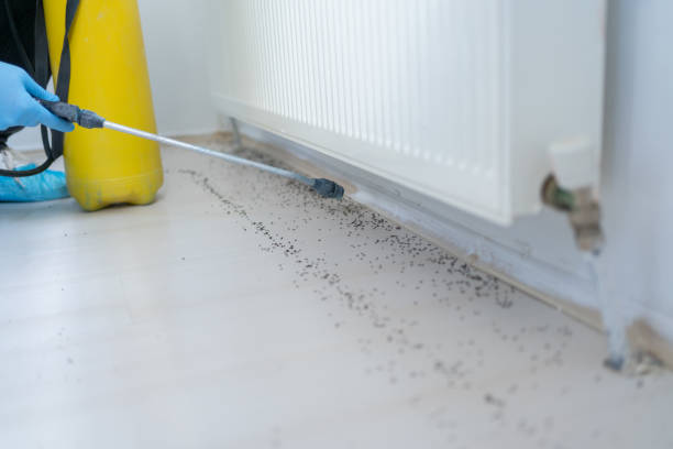 Pest Control for Restaurants in Westhaven Moonstone, CA