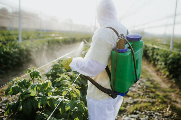Best Pest Control Near Me  in Westhaven Moonstone, CA